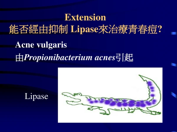 Extension 能否經由抑制  Lipase 來治療青春痘 ?