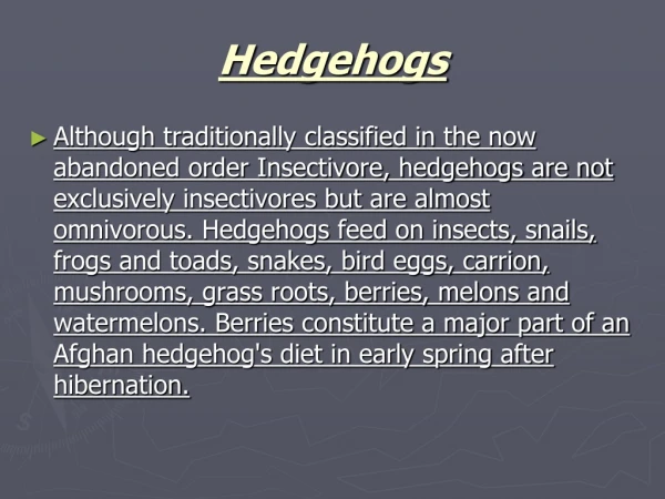 Hedgehogs