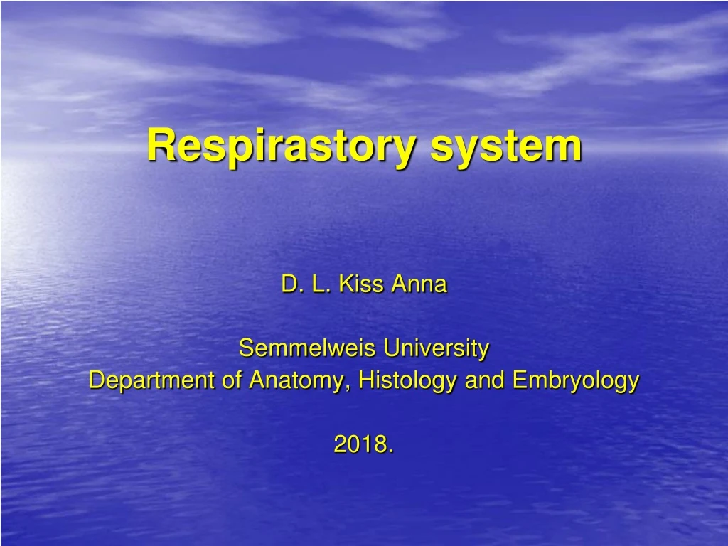 respirastory system