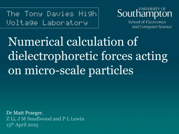 Numerical calculation of dielectrophoretic forces acting on micro-scale particles