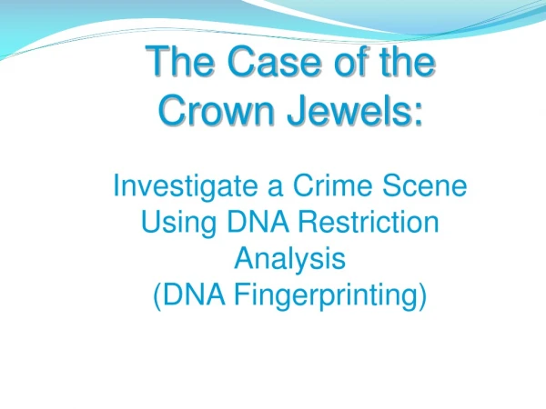 The Case of the  Crown Jewels: