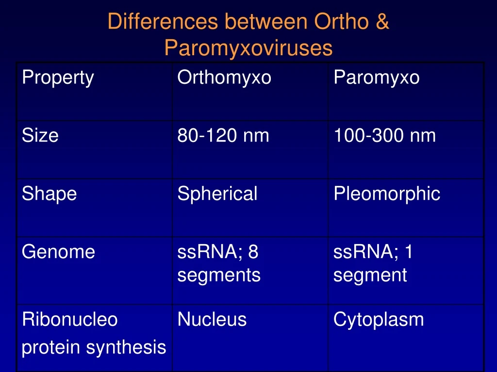 differences between ortho paromyxoviruses