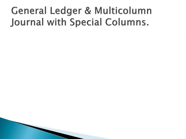 General Ledger &amp; Multicolumn Journal with Special Columns.