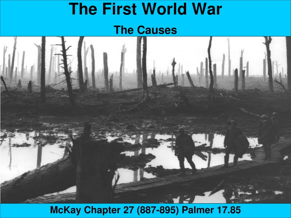 the first world war the causes