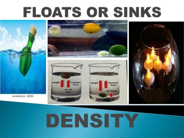 FLOATS OR SINKS