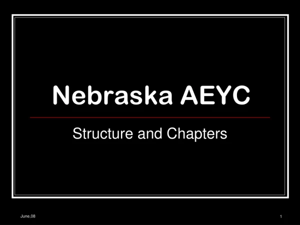 Nebraska AEYC