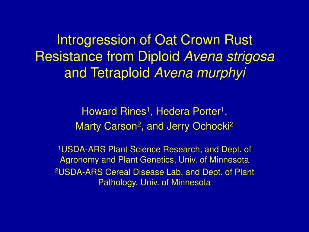 introgression of oat crown rust resistance from diploid avena strigosa and tetraploid avena murphyi