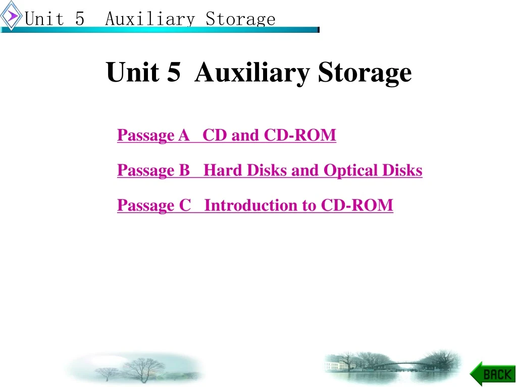 unit 5 auxiliary storage