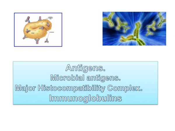 Antigens . Microbial antigens . Major Histocompatibility  Complex . Immunoglobulins