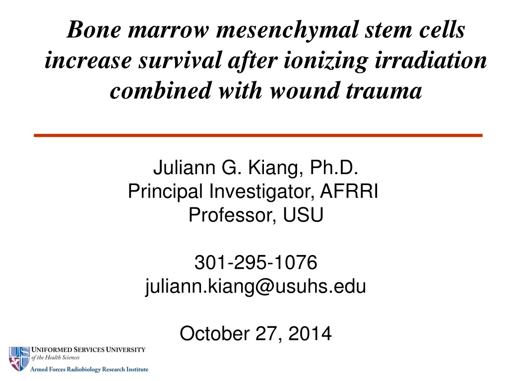 bone marrow mesenchymal stem cells increase