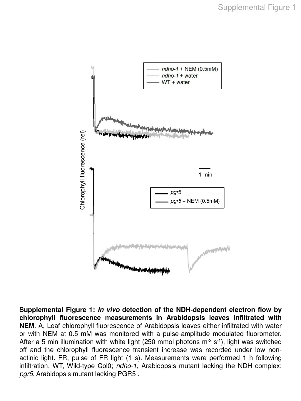 supplemental figure 1