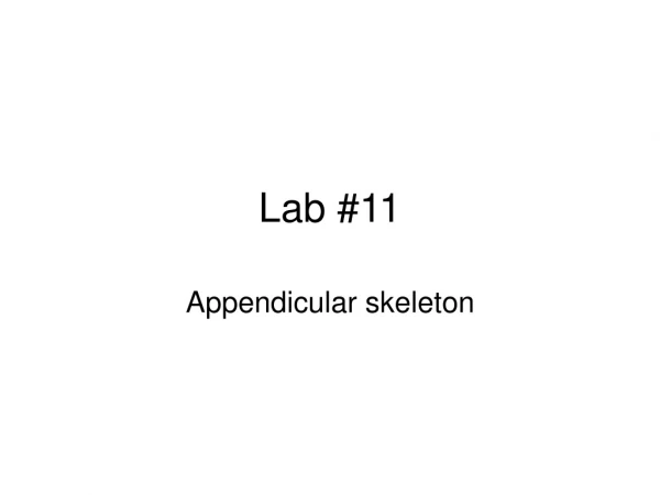 Lab #11