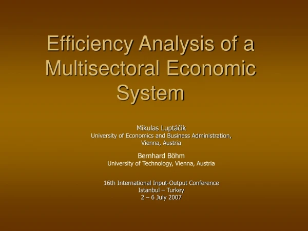 Efficiency Analysis of a Multisectoral Economic System