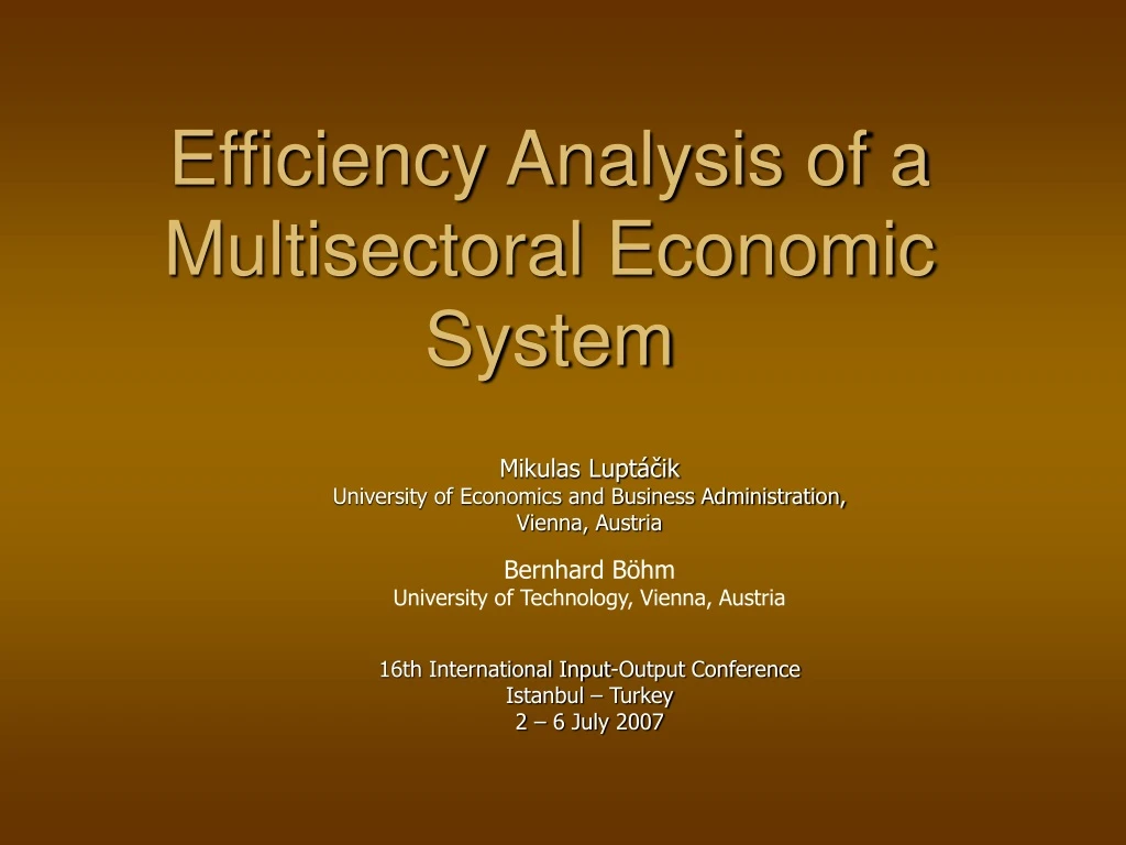 efficiency analysis of a multisectoral economic system