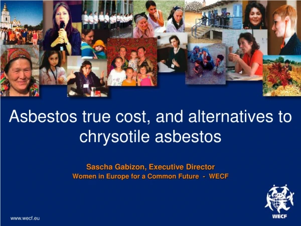 Asbestos true cost, and alternatives to chrysotile asbestos