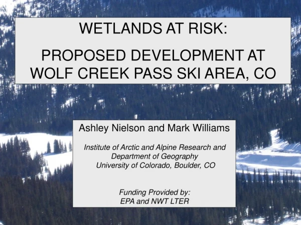 WETLANDS AT RISK:   PROPOSED DEVELOPMENT AT WOLF CREEK PASS SKI AREA, CO