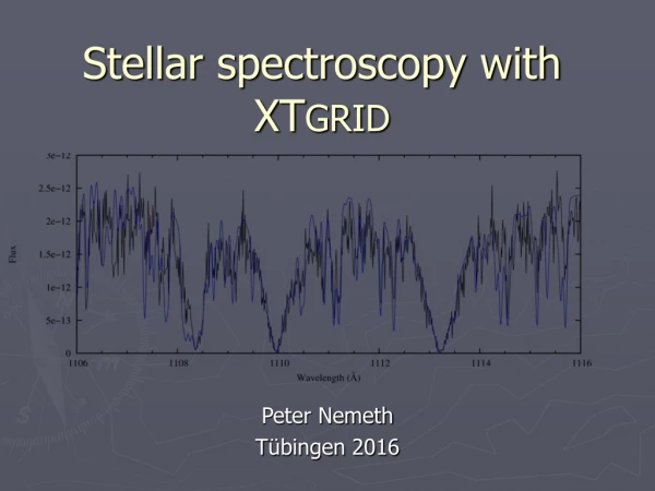 Stellar spectroscopy with XT GRID