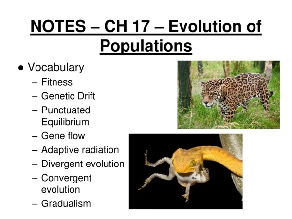 NOTES – CH 17 – Evolution of Populations