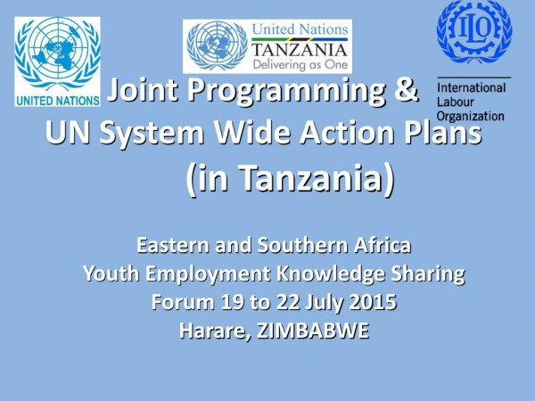 Joint Programming &amp; UN System Wide Action Plans  (in Tanzania )