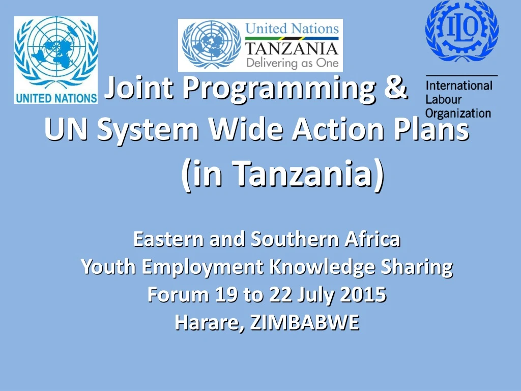 joint programming un system wide action plans in tanzania