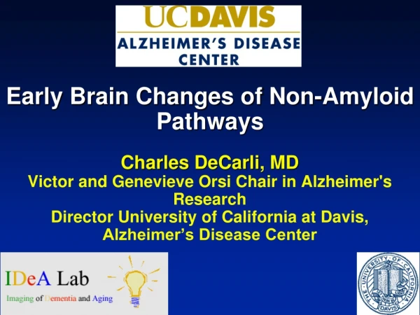 Early Brain Changes of Non-Amyloid Pathways