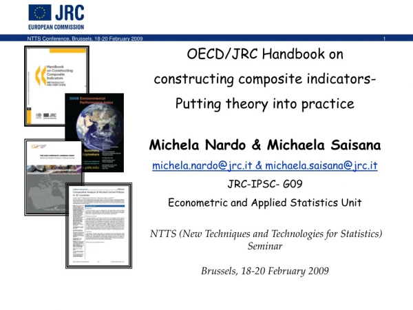 OECD/JRC Handbook on  constructing composite indicators-   Putting theory into practice