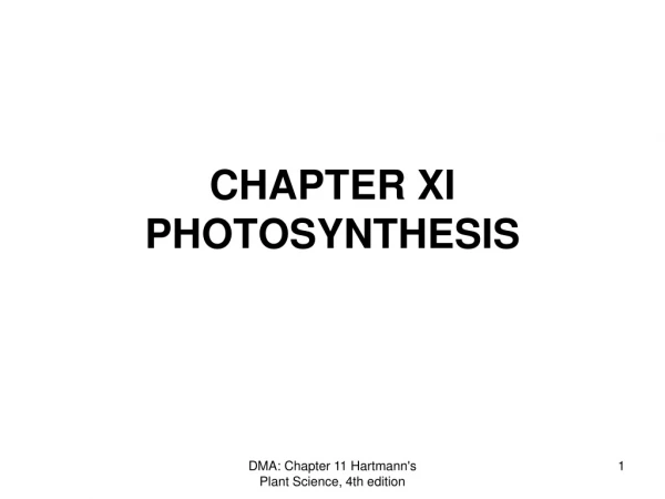 CHAPTER XI  PHOTOSYNTHESIS