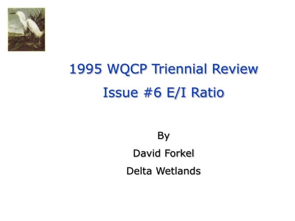 1995 WQCP Triennial Review Issue #6 E/I Ratio By  David Forkel Delta Wetlands