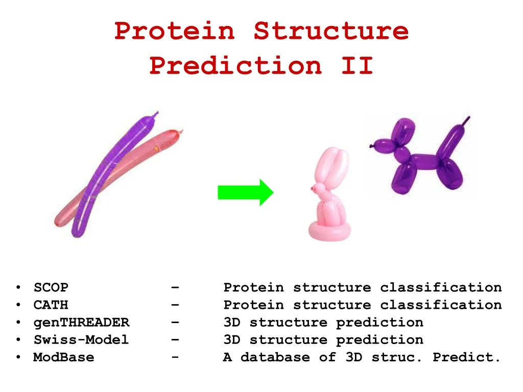 protein structure prediction ii