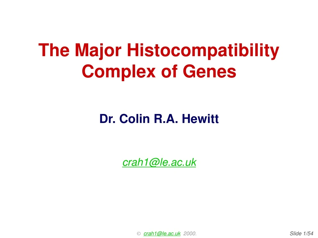 the major histocompatibility complex of genes