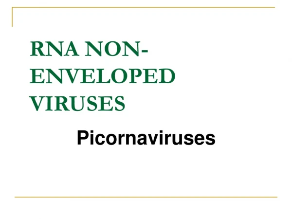 RNA NON-ENVELOPED VIRUSES