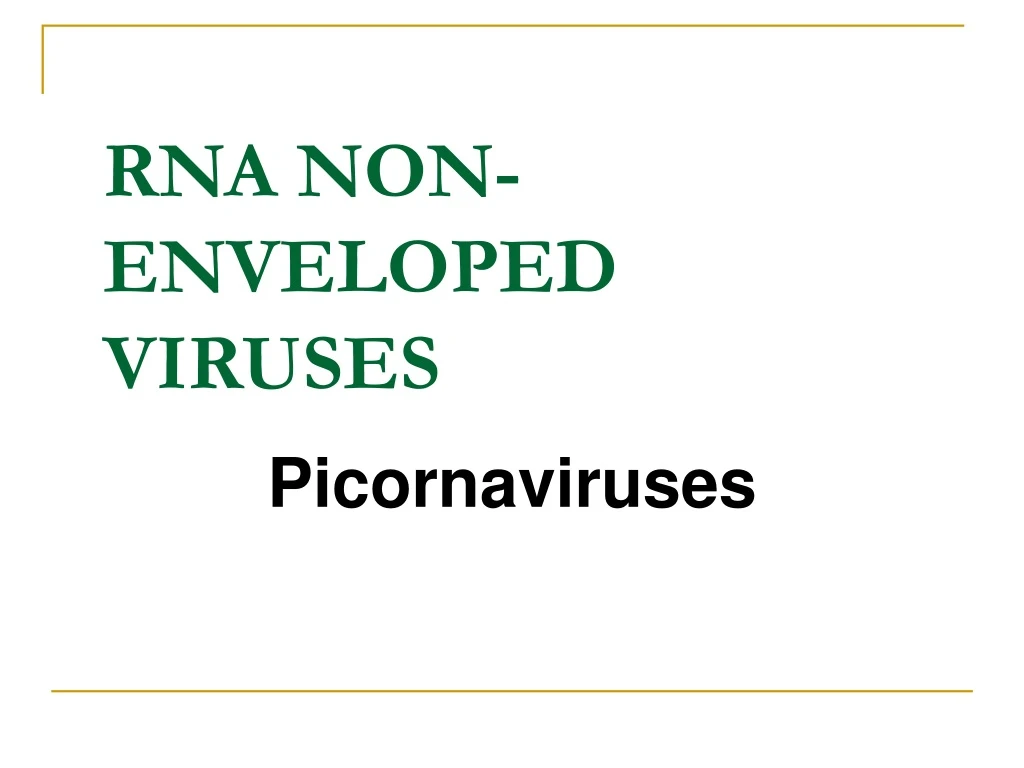 rna non enveloped viruses