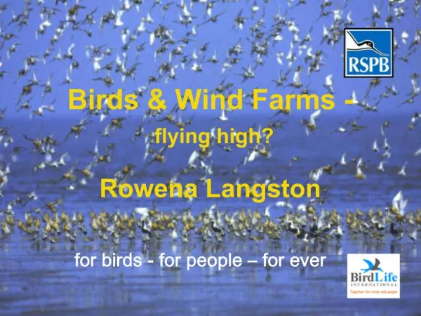 Birds Wind Farms - flying high