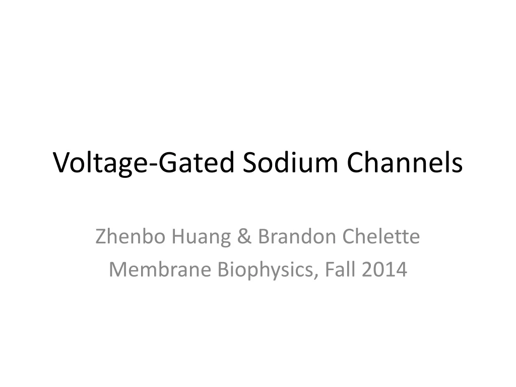 voltage gated sodium channels