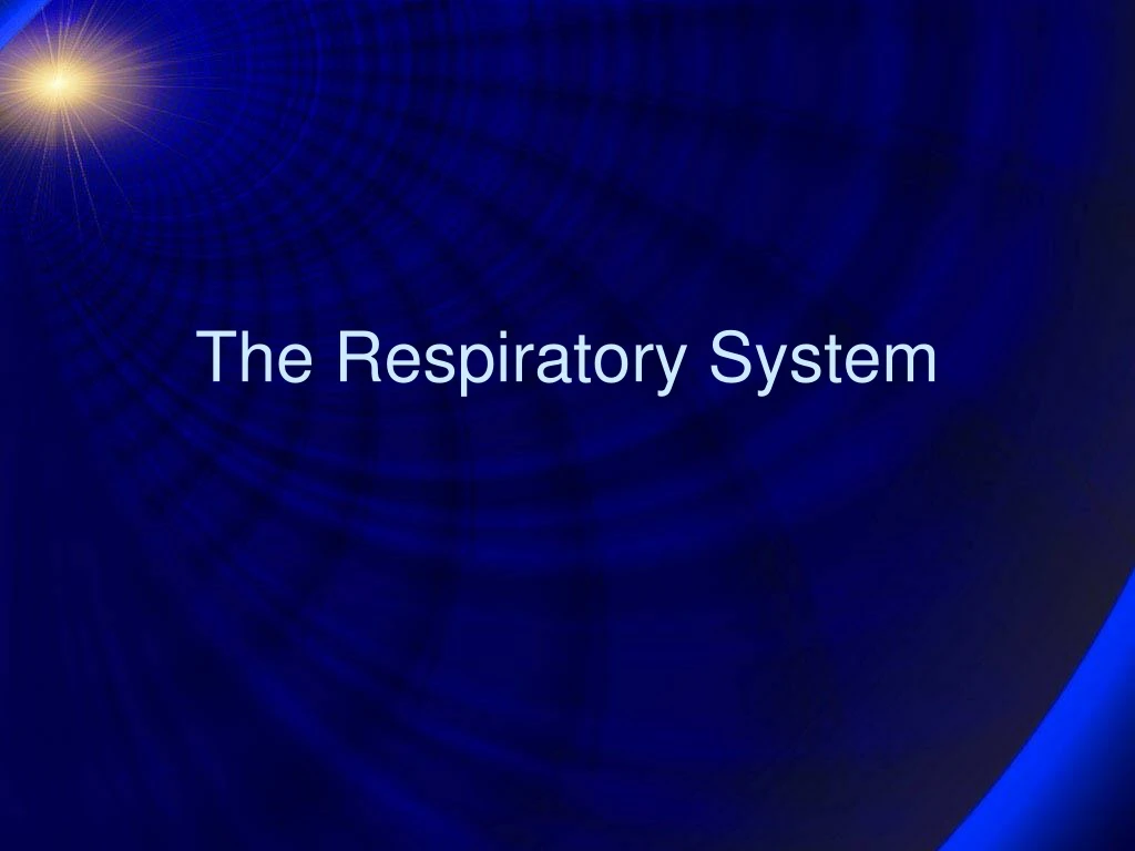 the respiratory system