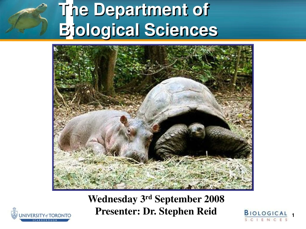 the department of biological sciences