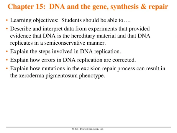 Chapter 15:  DNA and the gene, synthesis &amp; repair