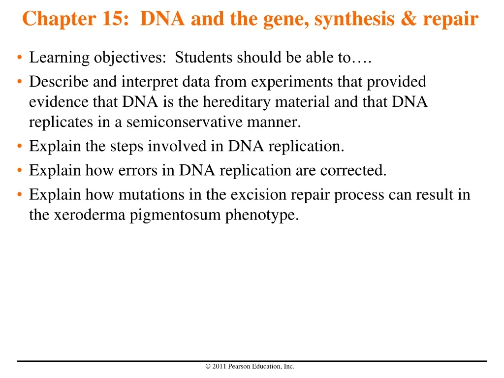 chapter 15 dna and the gene synthesis repair