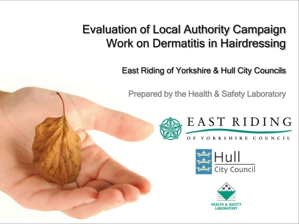 Evaluation of Local Authority Campaign  Work on Dermatitis in Hairdressing