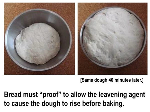 Bread must “proof” to allow the leavening agent to cause the dough to rise before baking.