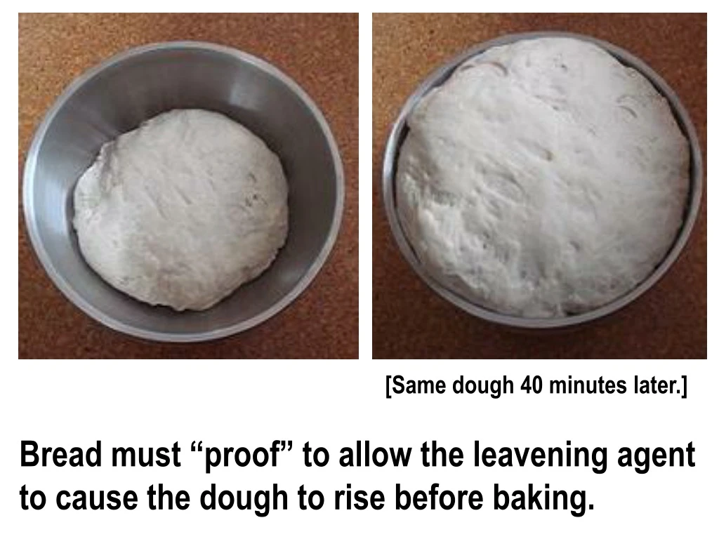 same dough 40 minutes later