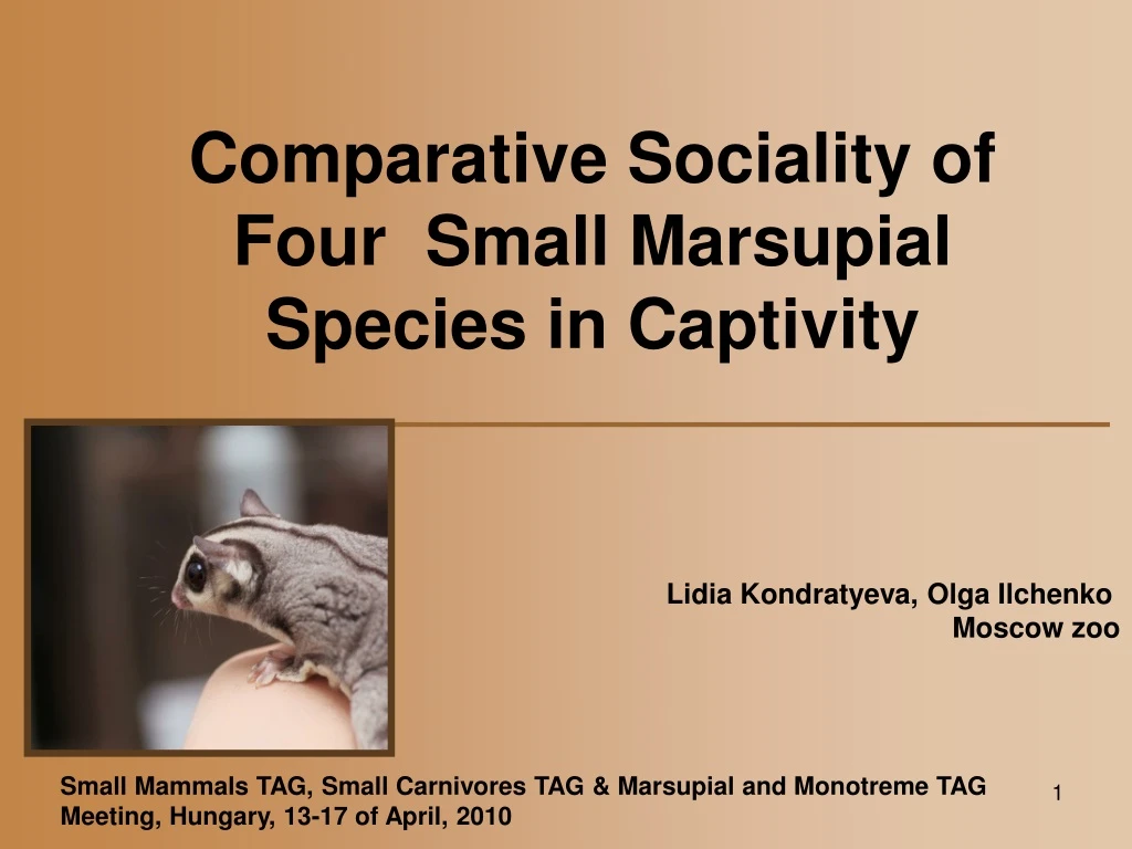 comparative sociality of four small marsupial species in captivity