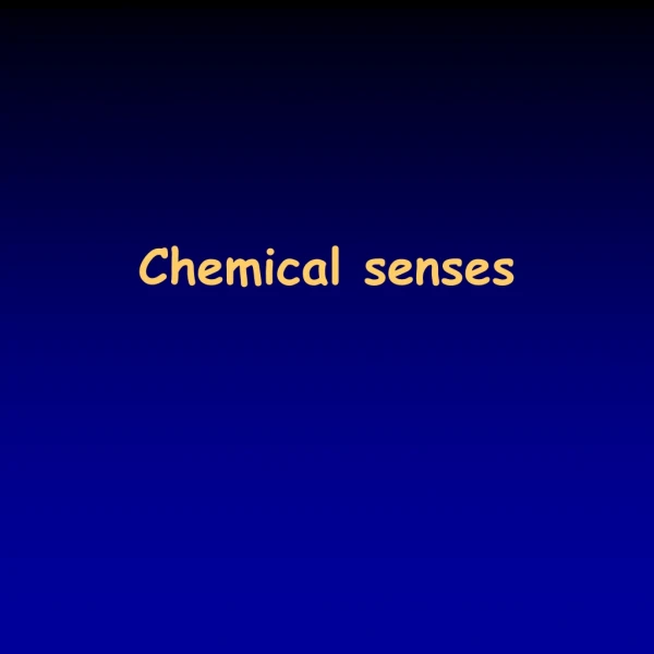 Chemical senses