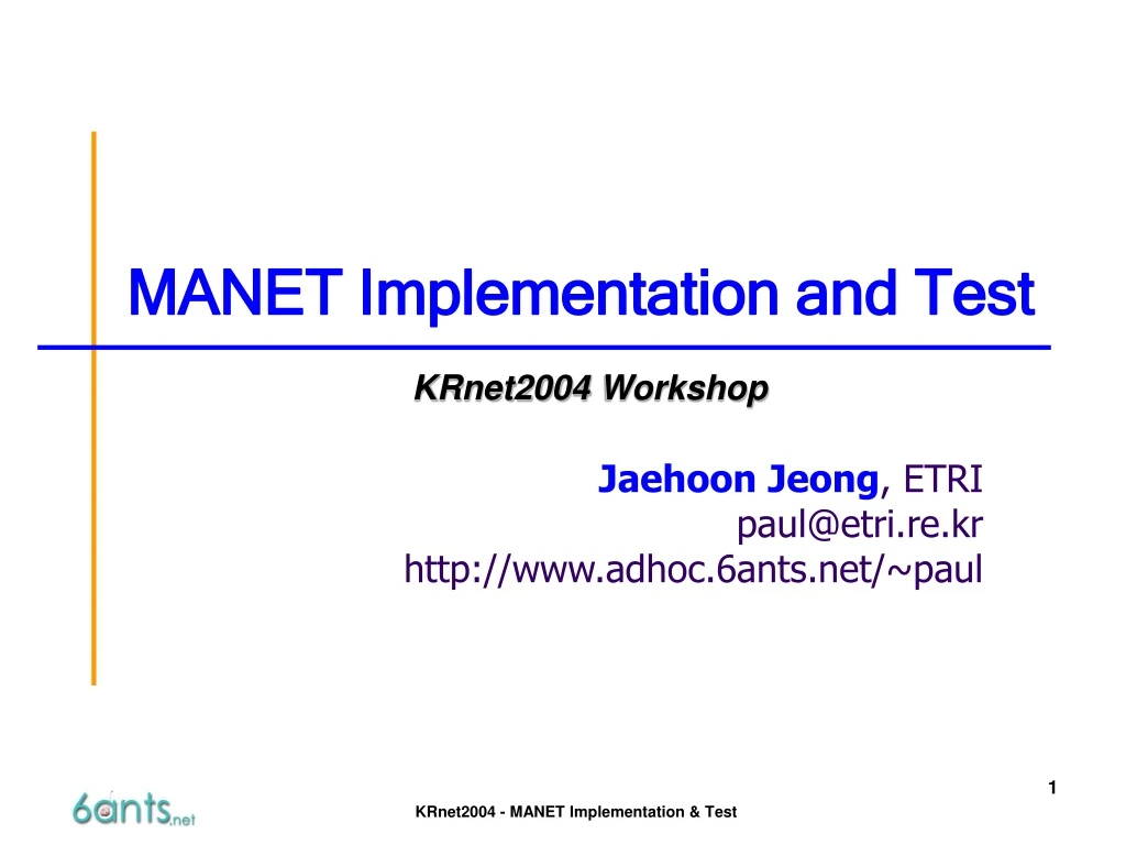 manet implementation and test