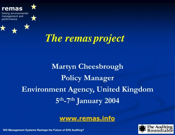 remas linking environmental management and performance
