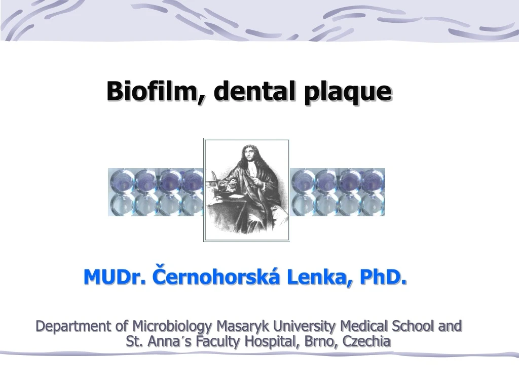 biofilm dental plaque