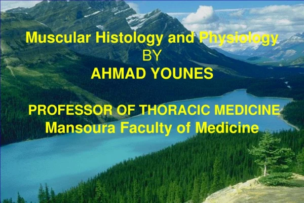 Muscular Histology and Physiology BY AHMAD YOUNES PROFESSOR OF THORACIC MEDICINE