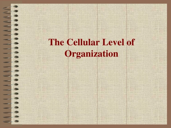 The Cellular Level of Organization