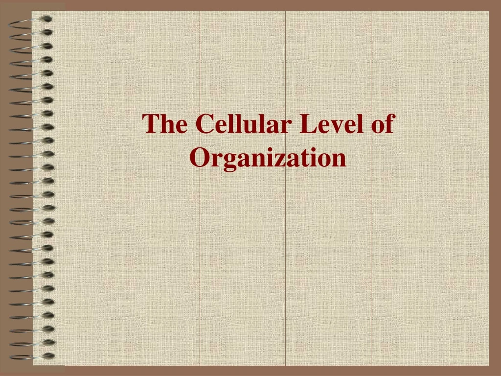 the cellular level of organization