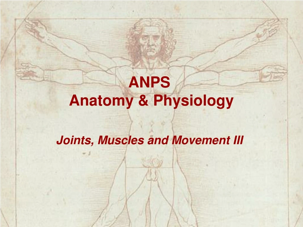 anps anatomy physiology